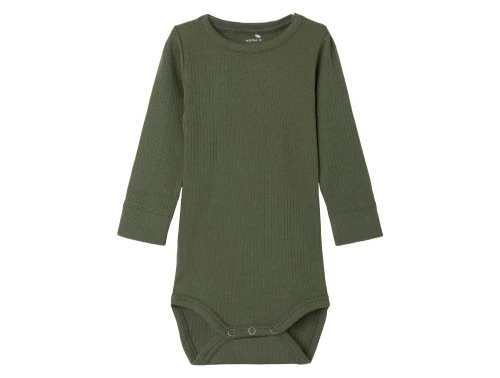 Name It beetle rib body